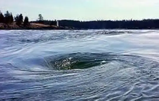 Image related to The Old Sow Whirlpool