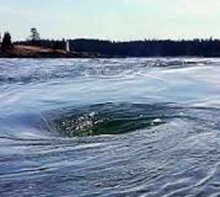 The Old Sow Whirlpool