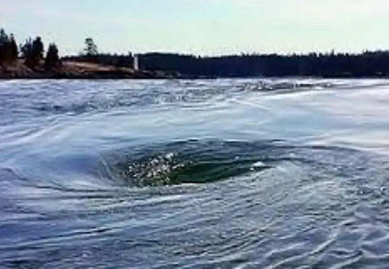The Old Sow Whirlpool