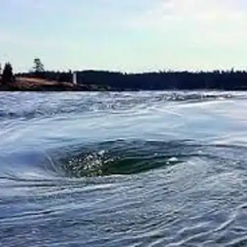 Image related to The Old Sow Whirlpool