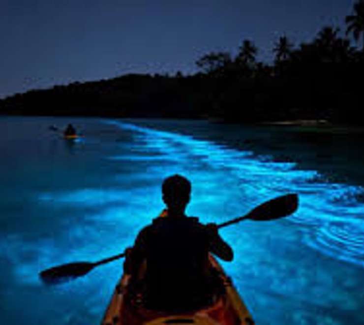 Kayak in Mosquito Bioluminescent Bay