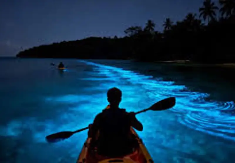 Kayak in Mosquito Bioluminescent Bay