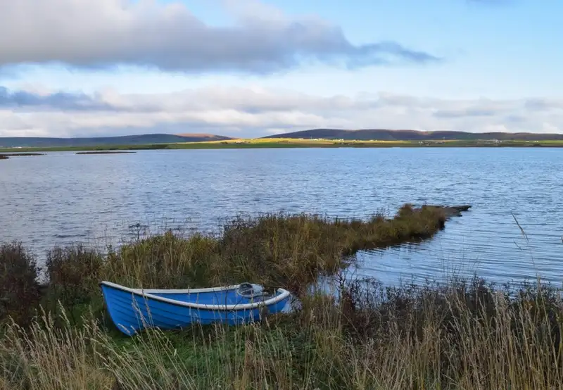 Image related to The Orkney Museum 