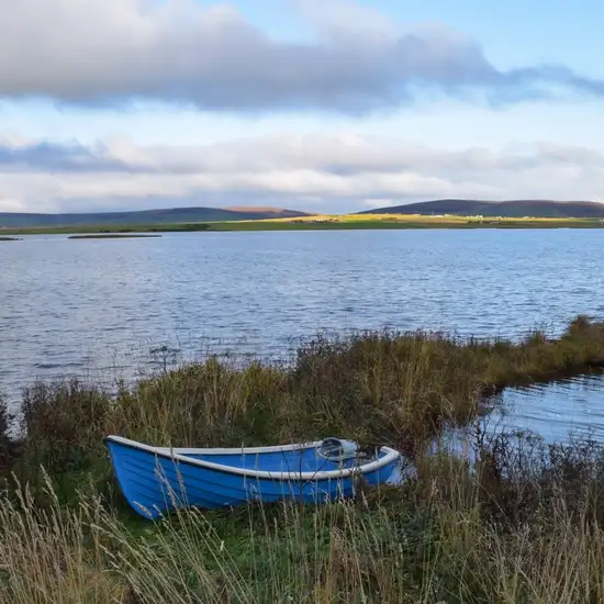 Image related to The Orkney Museum 