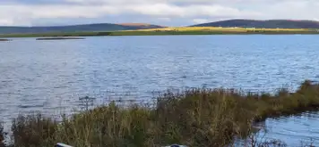 Image related to The Orkney Museum 