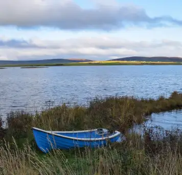 Image related to Image related to The Orkney Museum 