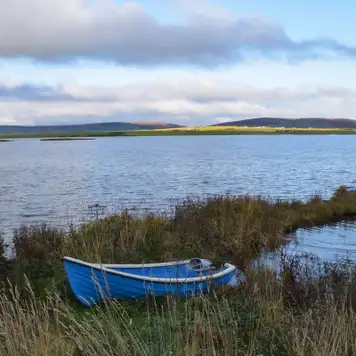 Image related to The Orkney Museum 