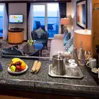 Overview of a Suite