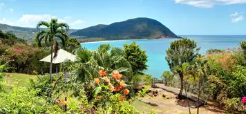 Image related to Pointe-à-Pitre