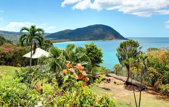 Image related to Pointe-à-Pitre