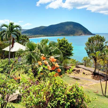 Photo overview of Pointe-à-Pitre
