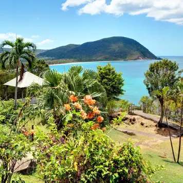 Image related to Pointe-à-Pitre