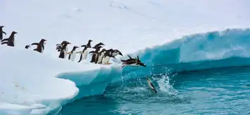 Image related to Antarctica - Overnight onboard