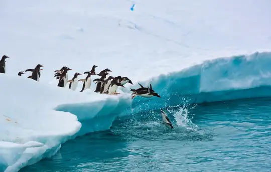Image related to Antarctica - Overnight onboard