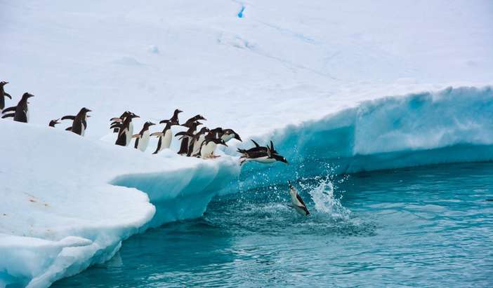 Antarctica - Overnight onboard