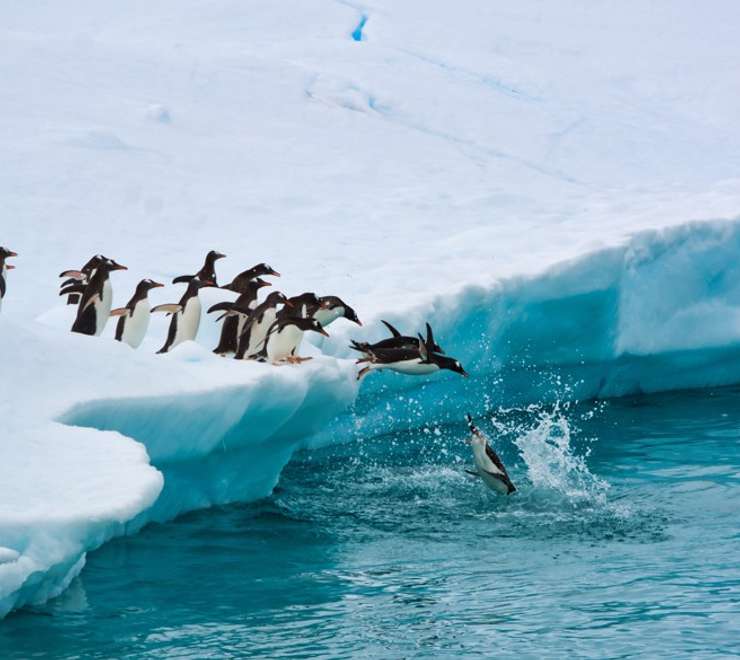 Antarctica - Overnight onboard