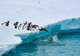 Antarctica - Overnight onboard