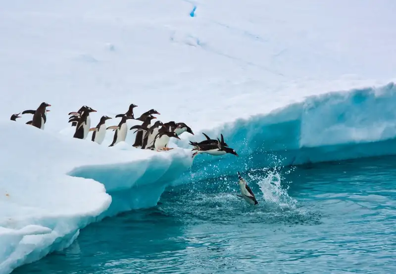 Antarctica - Overnight onboard