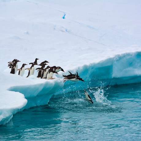 Photo overview of Antarctica