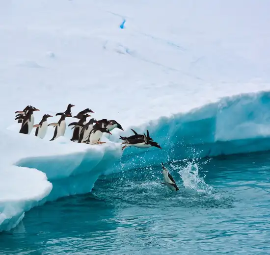 Image related to Antarctica - Overnight onboard