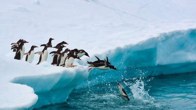 Antarctica