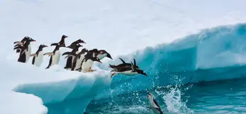 Image related to Antarctica