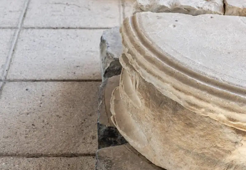 Villa Gallo Romaine de Plassac