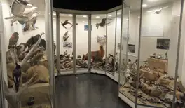 Image related to Museo del Fin del Mundo