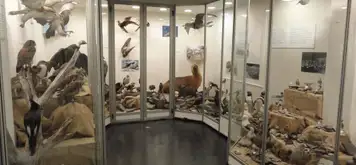 Image related to Museo del Fin del Mundo