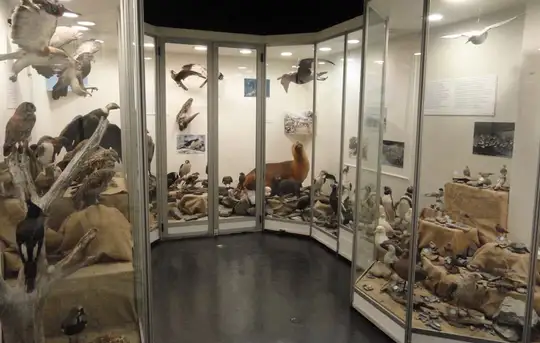 Image related to Museo del Fin del Mundo