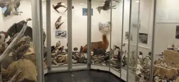 Image related to Museo del Fin del Mundo