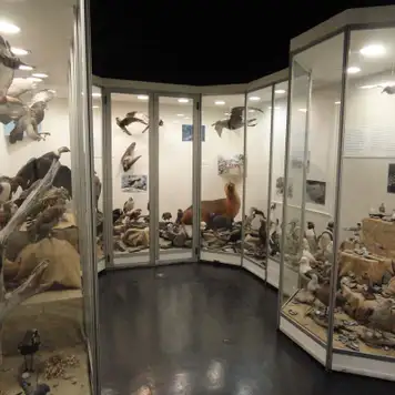 Image related to Museo del Fin del Mundo