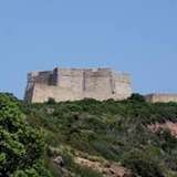 Image related to Forte Stella