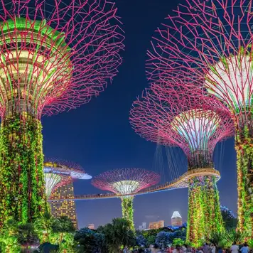 Image related to Gardens by the Bay