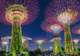 Gardens by the Bay