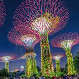 Image related to Gardens by the Bay