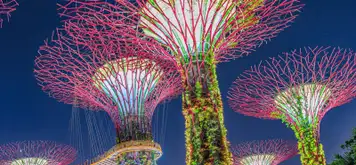 Image related to Gardens by the Bay