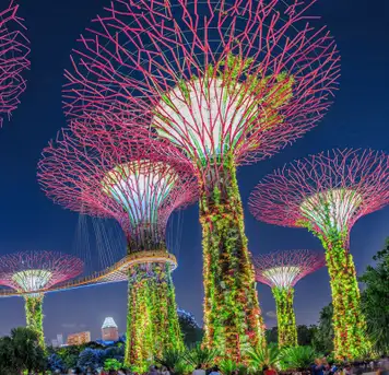 Image related to Gardens by the Bay