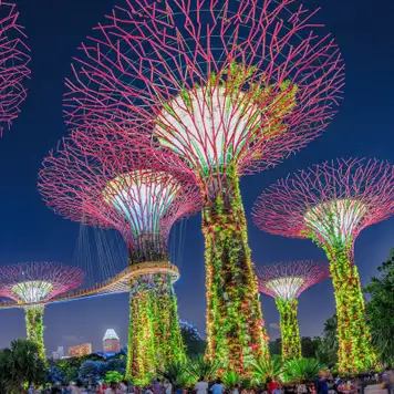 Image related to Gardens by the Bay