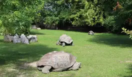 Image related to Charles Darwin Research Station