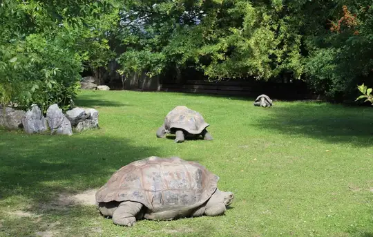 Image related to Charles Darwin Research Station