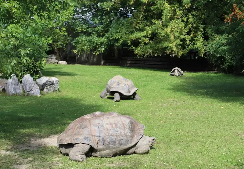 Charles Darwin Research Station