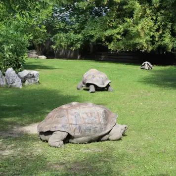 Image related to Charles Darwin Research Station