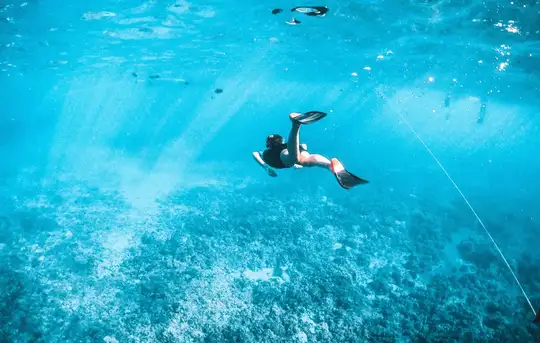 Image related to Image related to Snorkeling 