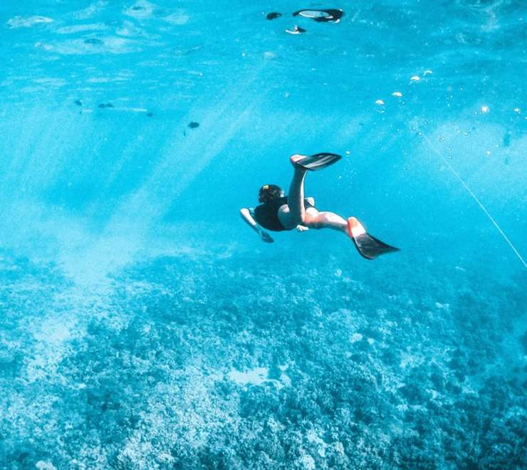 Snorkeling 
