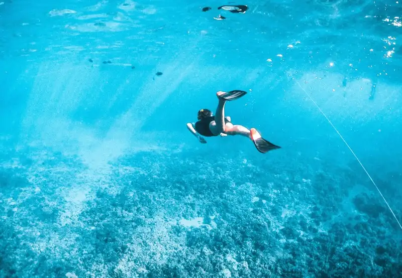 Snorkeling 