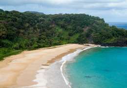 IgluCruise.Application.ViewModels.Shared.WebImageViewModel?.Description