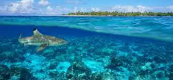 Image related to The Tiputa Pass Drift