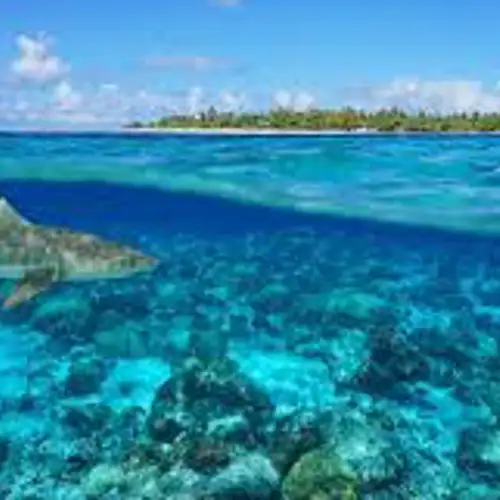 Image related to The Tiputa Pass Drift