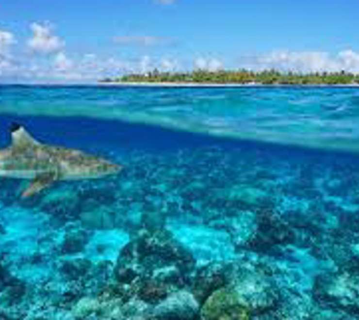 The Tiputa Pass Drift